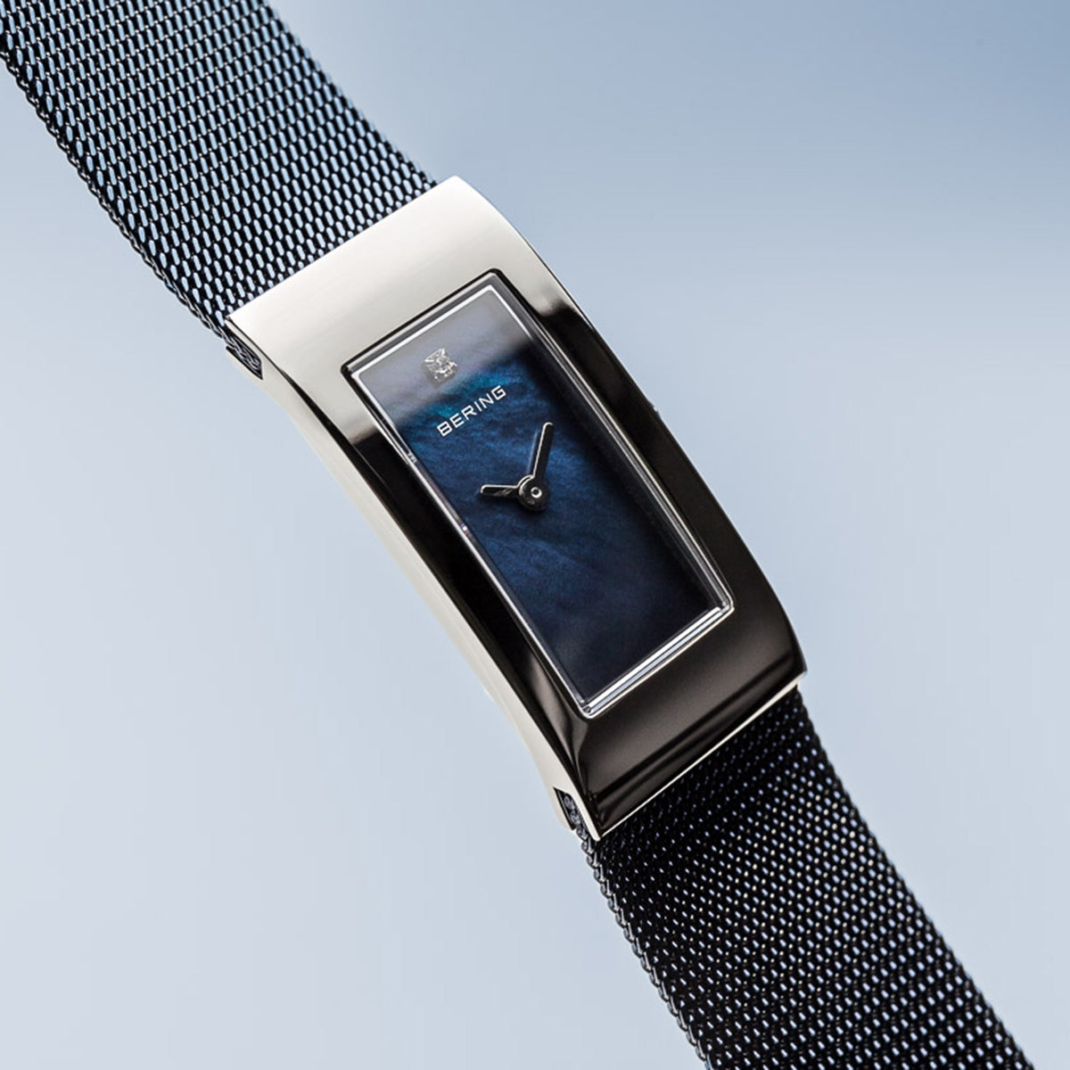Bering 10817-307