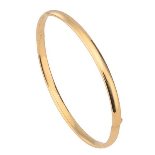 BNH 8kt Guld Klassisk Armring 5,0mm/6,0cm