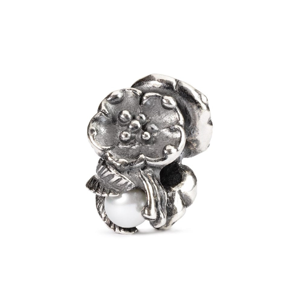 Trollbeads/Troldekugler Maj havtorn kugle TAGBE-00031