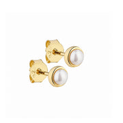 Aqua Dulce Lulu ørering
