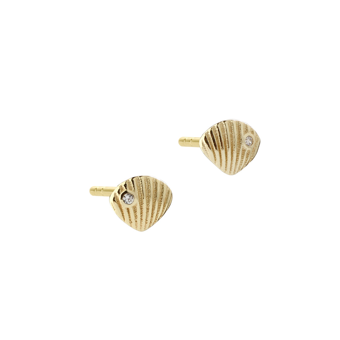 Aqua Dulce Shelly small ørering
