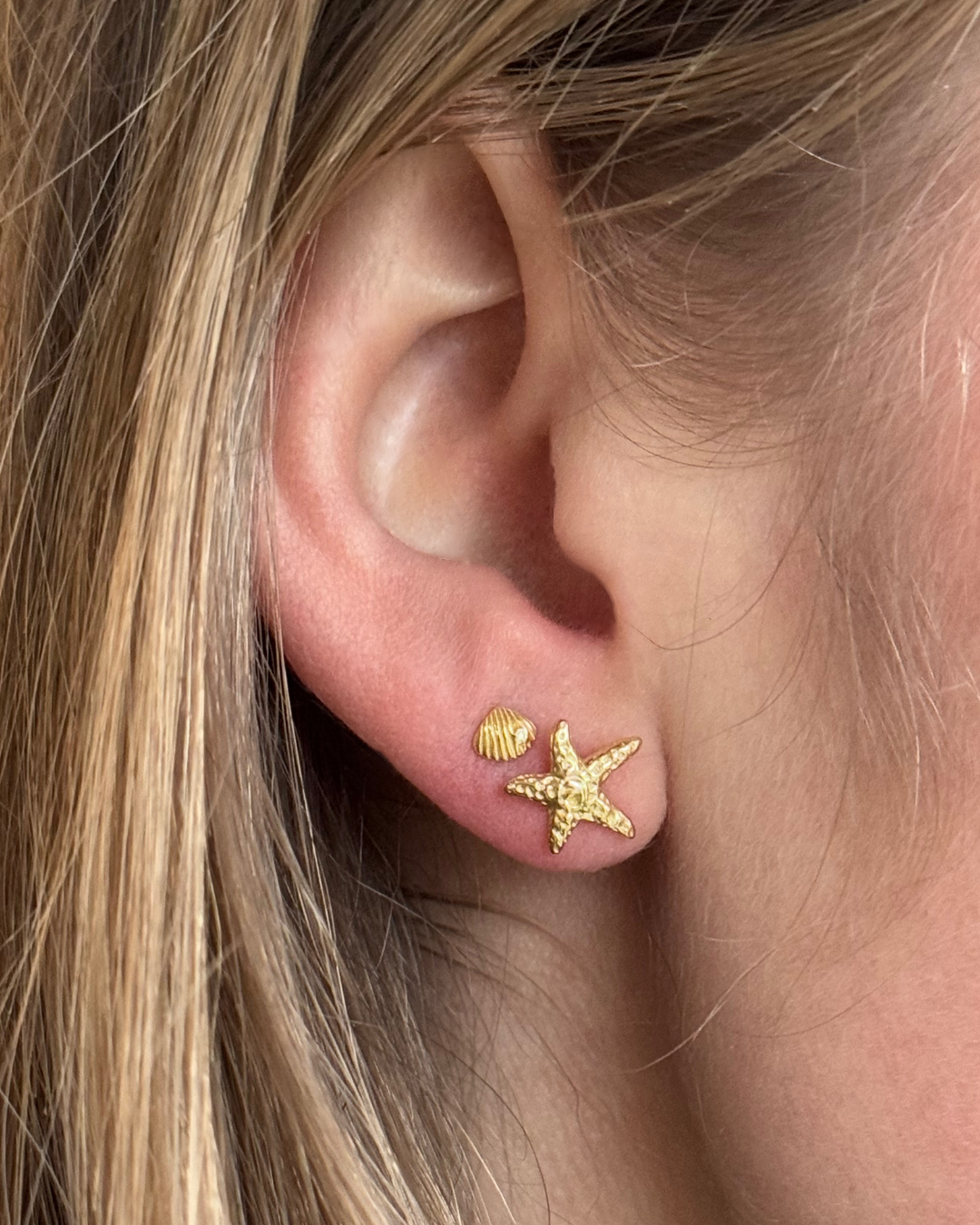 Aqua Dulce Shelly small ørering