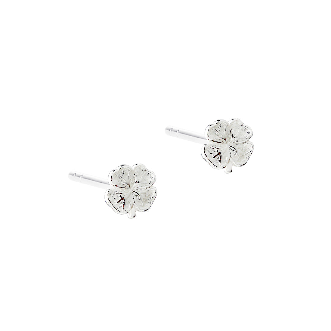 Aqua Dulce Clover Small ørering
