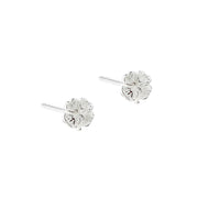 Aqua Dulce Clover Small ørering