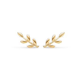 Støvring Design 14kt Guld Ørestikker med Blade på gren 70166968