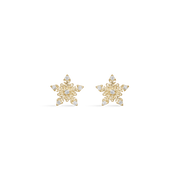 Støvring Design 14kt Guld Ørestik med Snefnug 70242065
