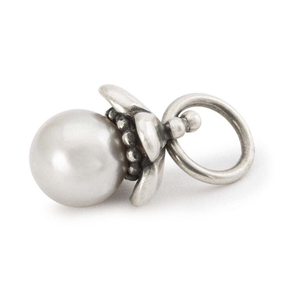 Trollbeads/Troldekugler Perle af dedikation kvast TAGBE-00307