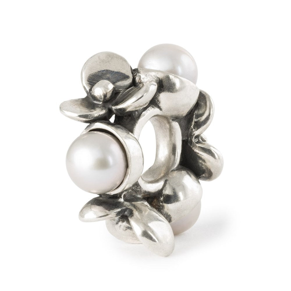 Trollbeads/Troldekugler Perler af tålmodighed kugle TAGBE-00308