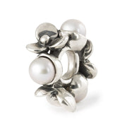 Trollbeads/Troldekugler Perler af tålmodighed kugle TAGBE-00308