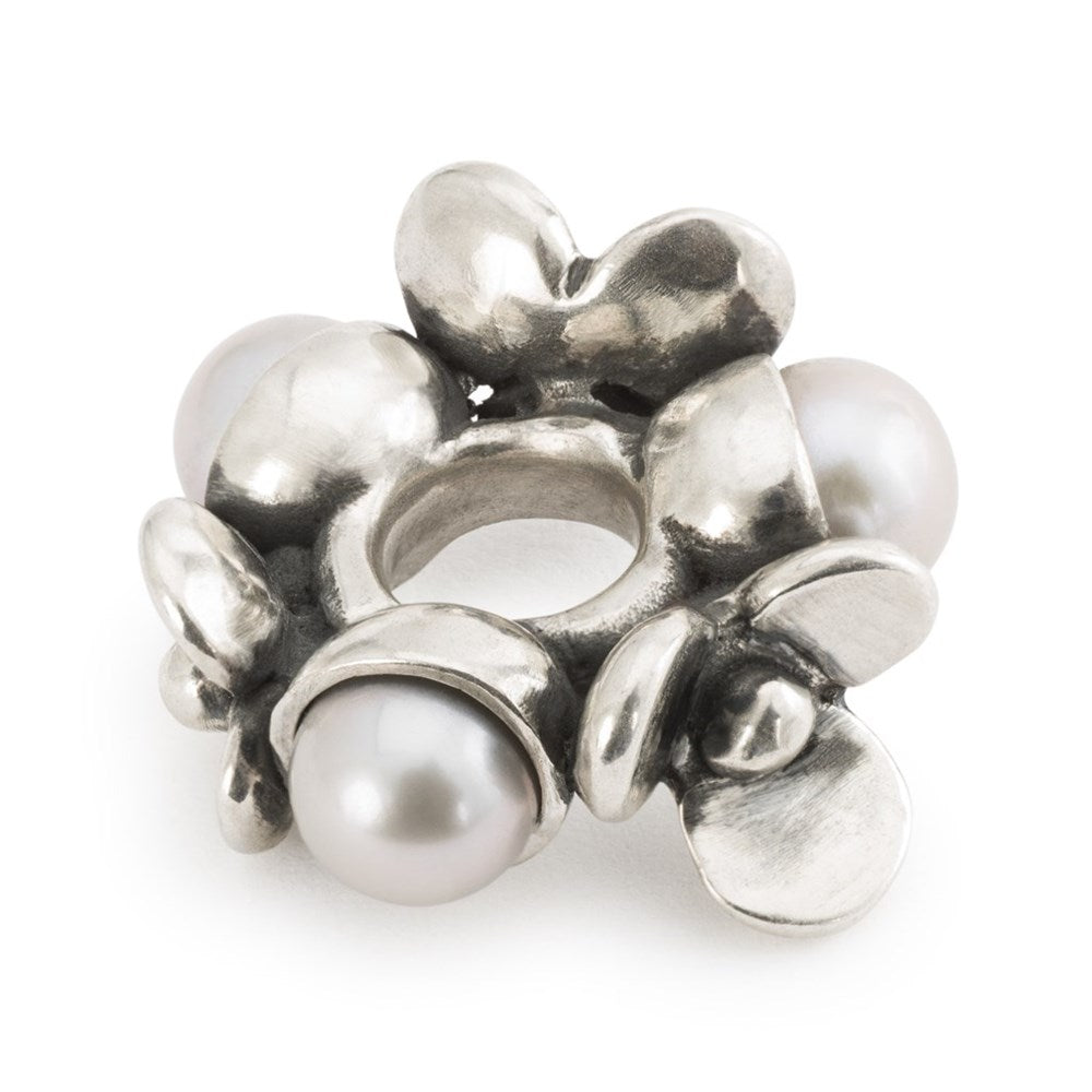 Trollbeads/Troldekugler Perler af tålmodighed kugle TAGBE-00308