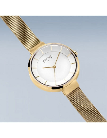 Bering Solar 14631-324