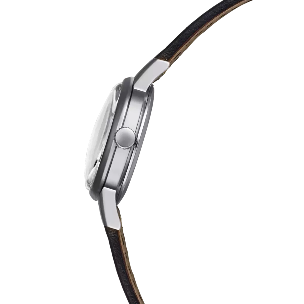 Festina Vintage F20260/1