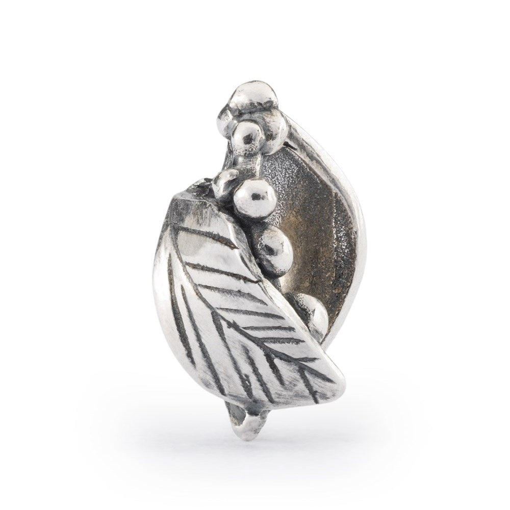 Trollbeads/Troldekugler Frisk Start TAGBE-00296